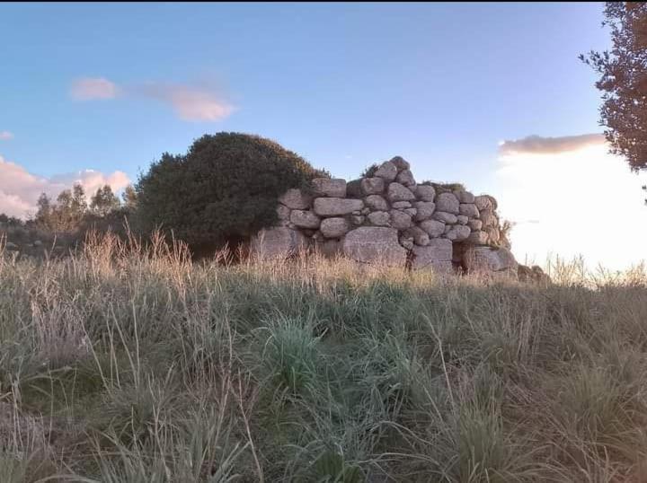 B&B Ammentos Magomadas Dış mekan fotoğraf